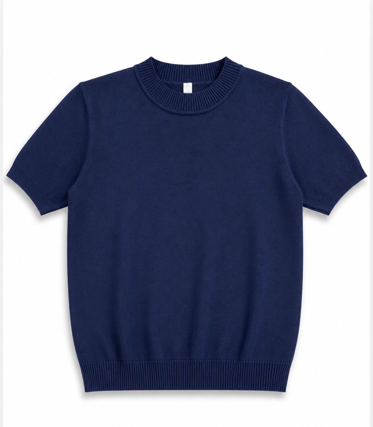 Johnny Polo Top in Blue