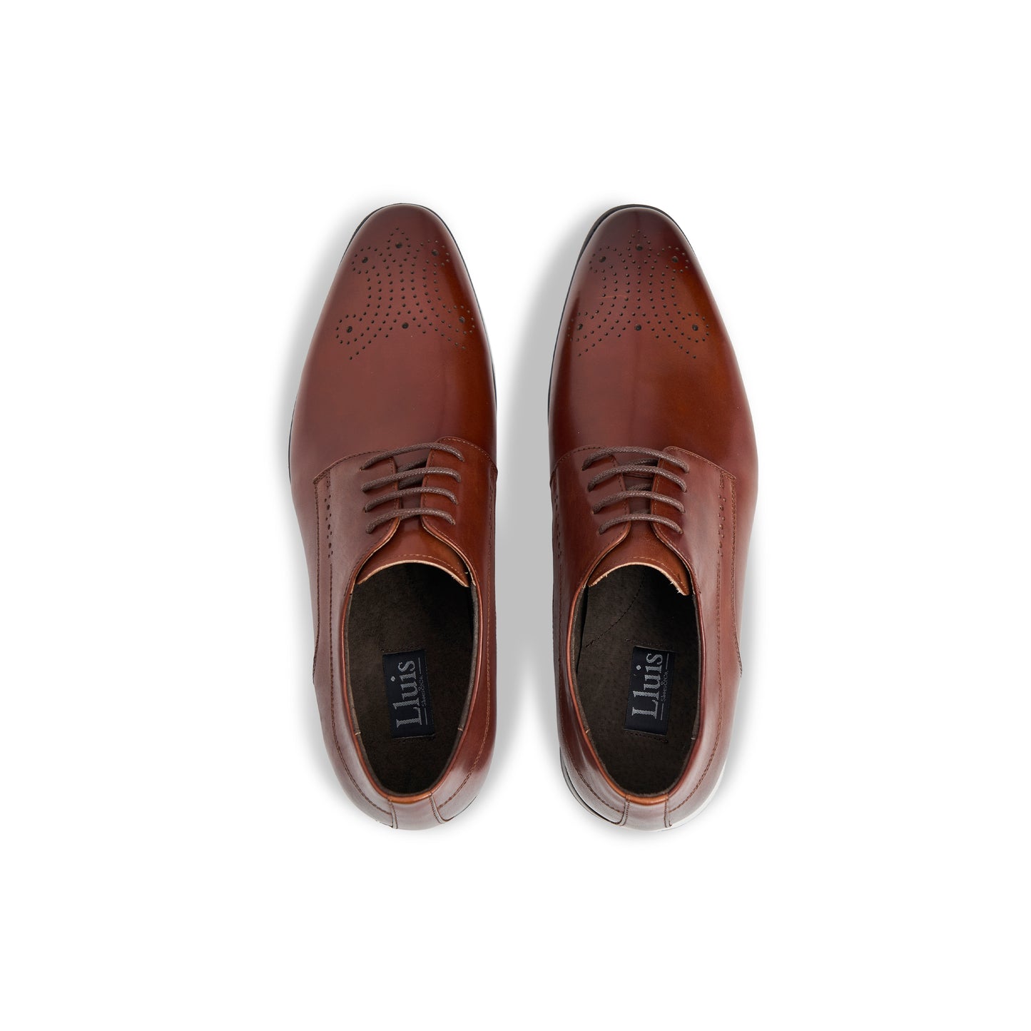 Top view of Venice shoes in Tan